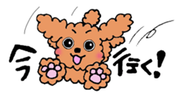 POPAI sticker #3490366