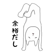 CAT! CAT! CAT! CAT! sticker #3490506