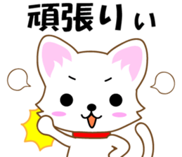 White cat Hiroshima sticker #3493253