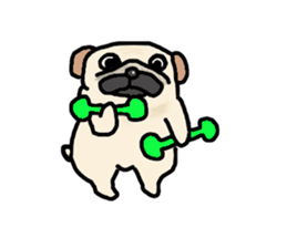 Diet Pug sticker #3494058