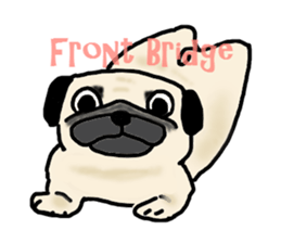 Diet Pug sticker #3494074