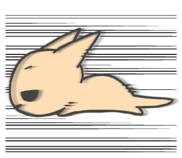 Koala and Kangaroo sticker #3494381