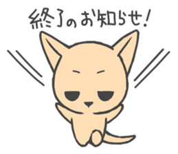 Koala and Kangaroo sticker #3494383