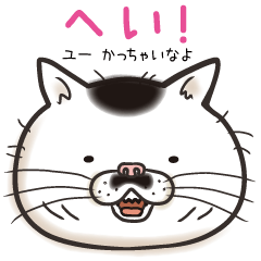 Cat Looks 2 -ugly cat sticker-