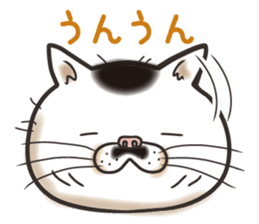 Cat Looks 2 -ugly cat sticker- sticker #3494444