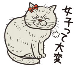 Cat Looks 2 -ugly cat sticker- sticker #3494448