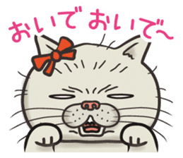 Cat Looks 2 -ugly cat sticker- sticker #3494452