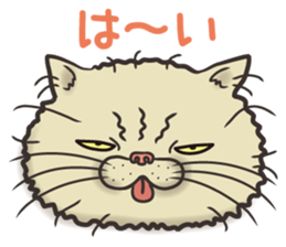 Cat Looks 2 -ugly cat sticker- sticker #3494456
