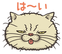 Cat Looks 2 -ugly cat sticker- sticker #3494456