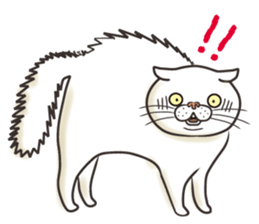 Cat Looks 2 -ugly cat sticker- sticker #3494458