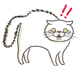 Cat Looks 2 -ugly cat sticker- sticker #3494458