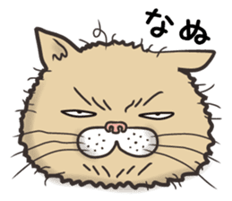 Cat Looks 2 -ugly cat sticker- sticker #3494466