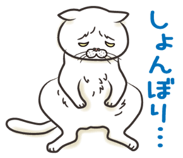 Cat Looks 2 -ugly cat sticker- sticker #3494468