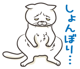 Cat Looks 2 -ugly cat sticker- sticker #3494468