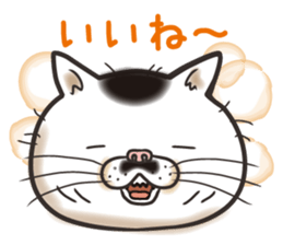 Cat Looks 2 -ugly cat sticker- sticker #3494471