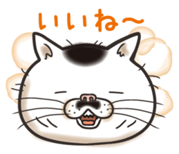 Cat Looks 2 -ugly cat sticker- sticker #3494471