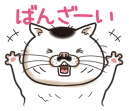 Cat Looks 2 -ugly cat sticker- sticker #3494472