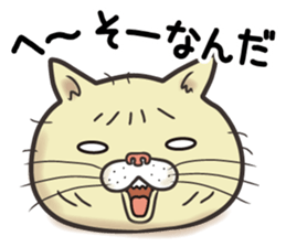 Cat Looks 2 -ugly cat sticker- sticker #3494474