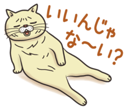 Cat Looks 2 -ugly cat sticker- sticker #3494475