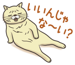 Cat Looks 2 -ugly cat sticker- sticker #3494475