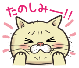 Cat Looks 2 -ugly cat sticker- sticker #3494476