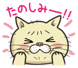 Cat Looks 2 -ugly cat sticker- sticker #3494476