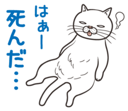 Cat Looks 2 -ugly cat sticker- sticker #3494478