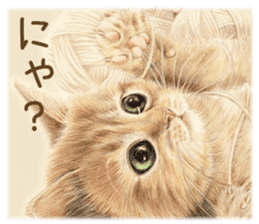 Cat and my cute companies sticker #3495858