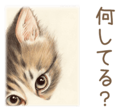 Cat and my cute companies sticker #3495859