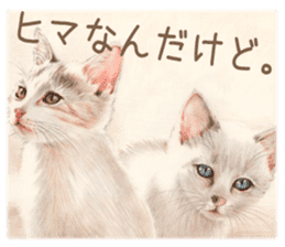 Cat and my cute companies sticker #3495860