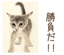 Cat and my cute companies sticker #3495863