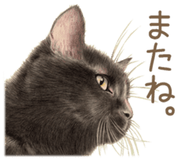 Cat and my cute companies sticker #3495865