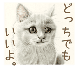 Cat and my cute companies sticker #3495869