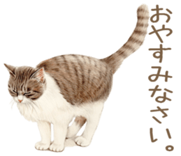 Cat and my cute companies sticker #3495870