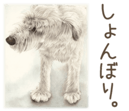 Cat and my cute companies sticker #3495872