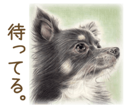 Cat and my cute companies sticker #3495873