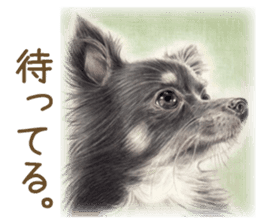 Cat and my cute companies sticker #3495873