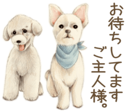 Cat and my cute companies sticker #3495874