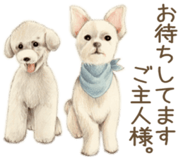 Cat and my cute companies sticker #3495874