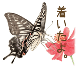 Cat and my cute companies sticker #3495875