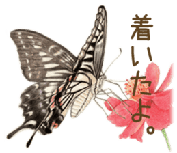 Cat and my cute companies sticker #3495875