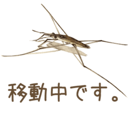 Cat and my cute companies sticker #3495876