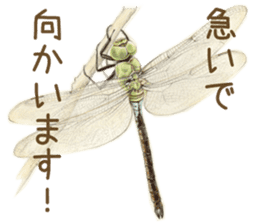 Cat and my cute companies sticker #3495877