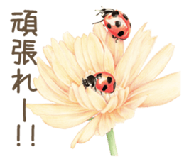 Cat and my cute companies sticker #3495879