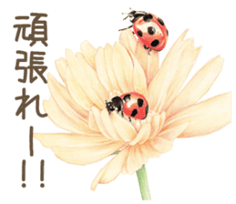 Cat and my cute companies sticker #3495879