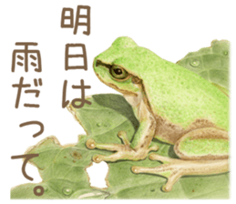 Cat and my cute companies sticker #3495881