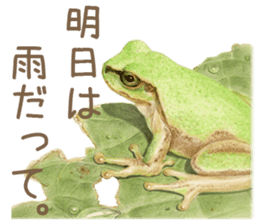 Cat and my cute companies sticker #3495881