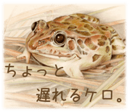 Cat and my cute companies sticker #3495882