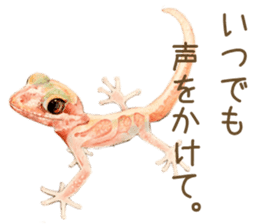 Cat and my cute companies sticker #3495883