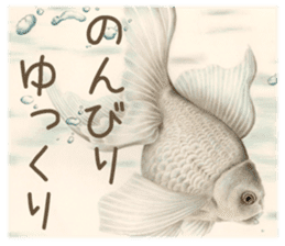 Cat and my cute companies sticker #3495884